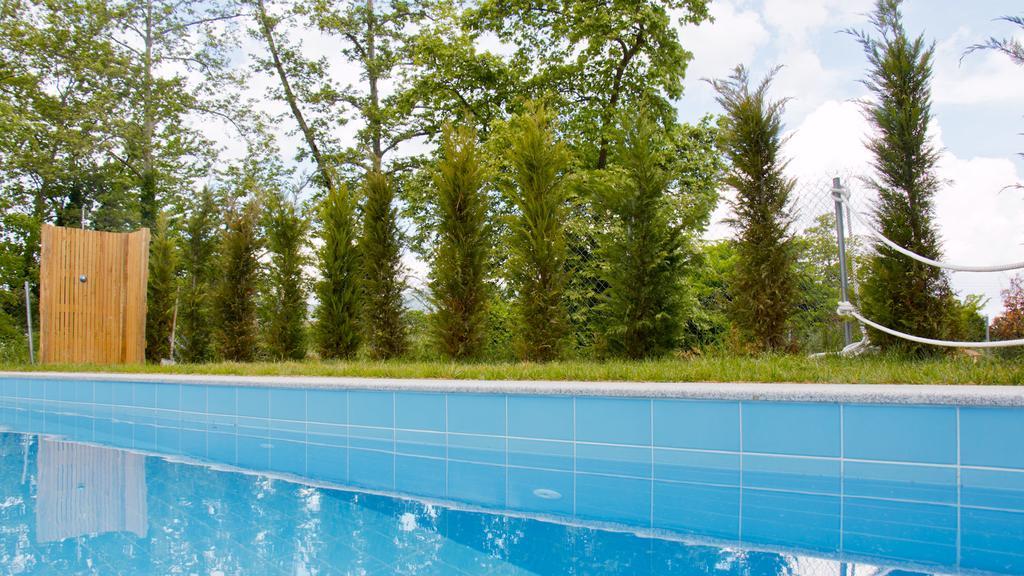 Aristotelia Gi Ikies - Olympiada Poolside Retreats Exterior photo
